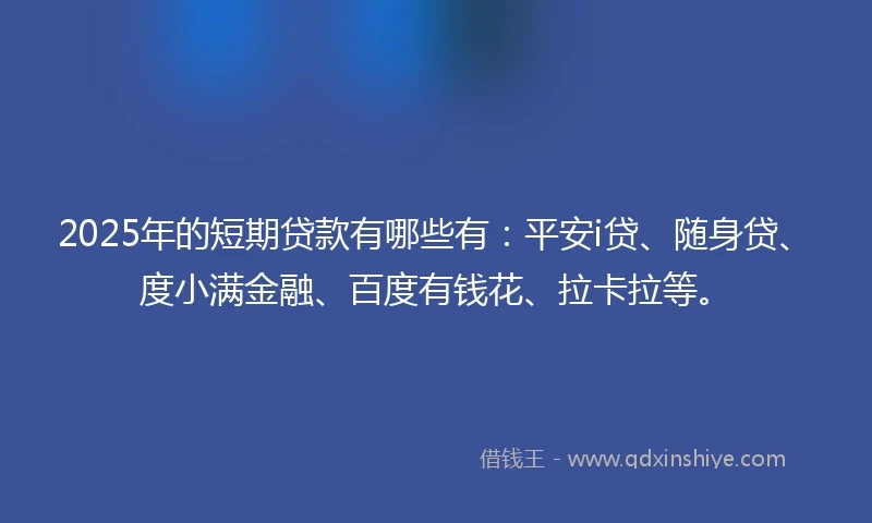 2025年的短期贷款有哪些有：平安i贷、随身贷、度小满金融、百度有钱花、拉卡拉等。