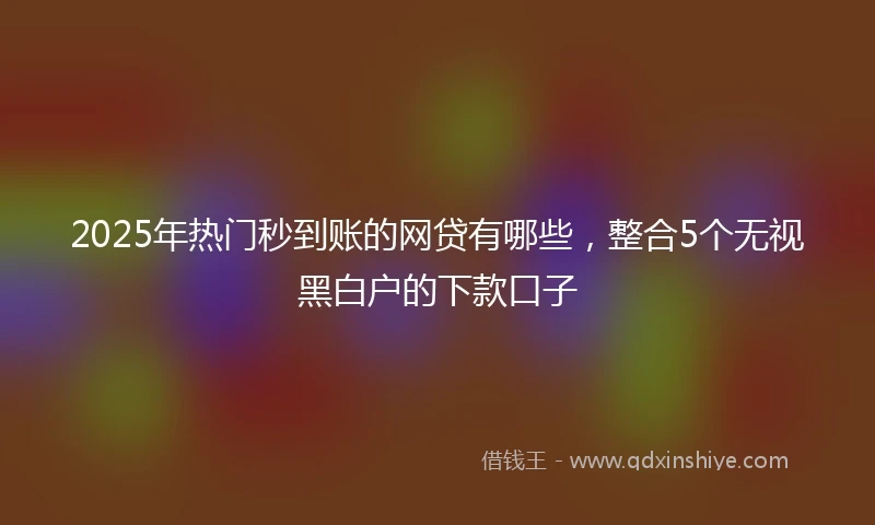 2025年热门秒到账的网贷有哪些，整合5个无视黑白户的下款口子