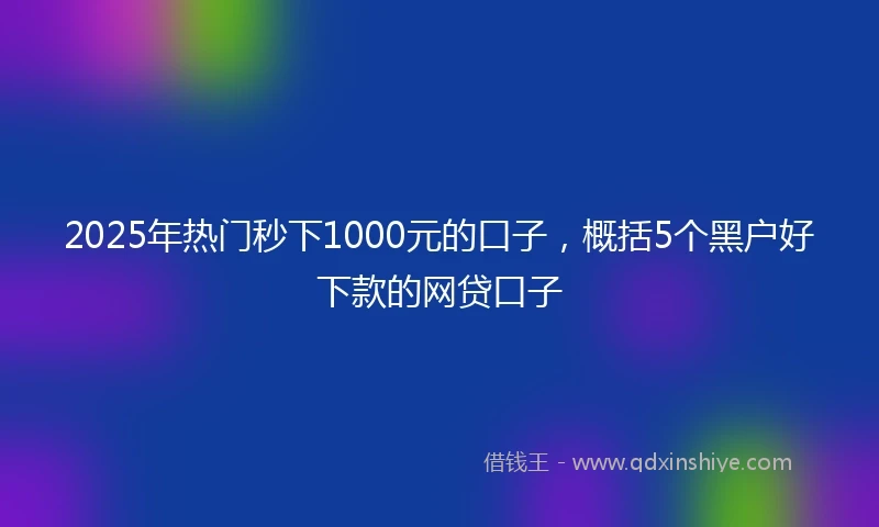 2025年热门秒下1000元的口子，概括5个黑户好下款的网贷口子
