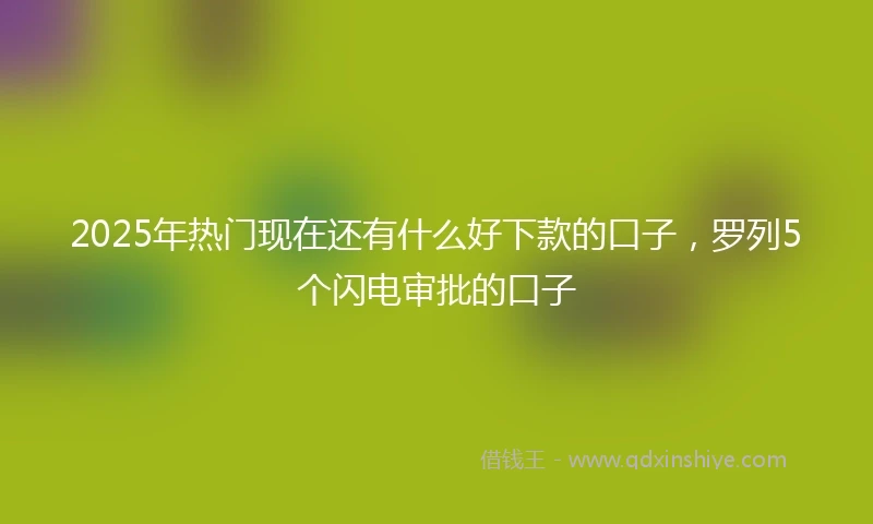 2025年热门现在还有什么好下款的口子，罗列5个闪电审批的口子