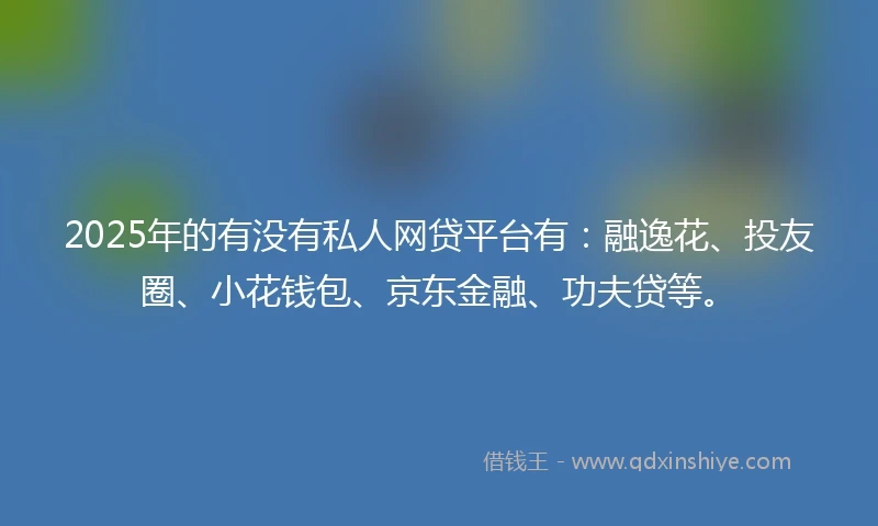 2025年的有没有私人网贷平台有：融逸花、投友圈、小花钱包、京东金融、功夫贷等。