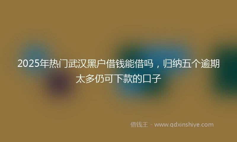 2025年热门武汉黑户借钱能借吗，归纳五个逾期太多仍可下款的口子