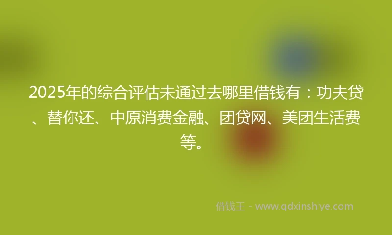 2025年的综合评估未通过去哪里借钱有：功夫贷、替你还、中原消费金融、团贷网、美团生活费等。