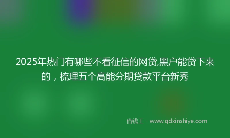 2025年热门有哪些不看征信的网贷,黑户能贷下来的，梳理五个高能分期贷款平台新秀