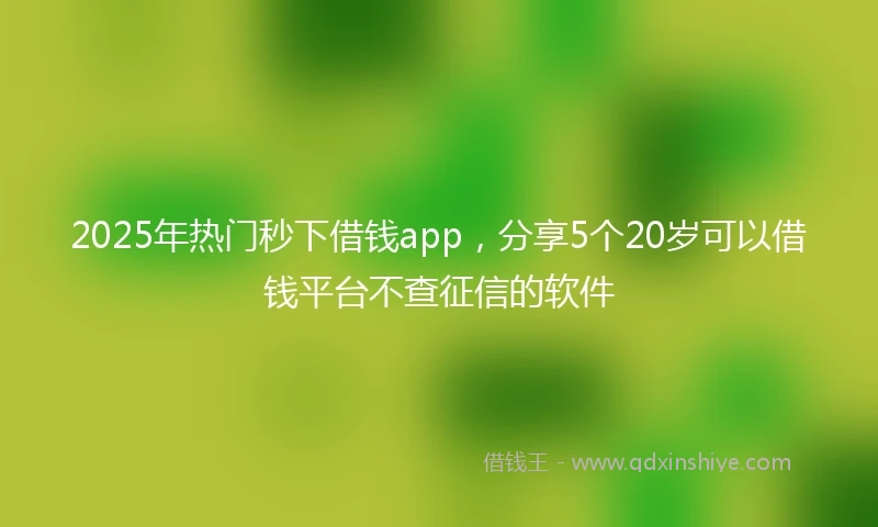 2025年热门秒下借钱app，分享5个20岁可以借钱平台不查征信的软件