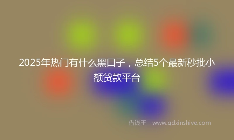 2025年热门有什么黑口子，总结5个最新秒批小额贷款平台