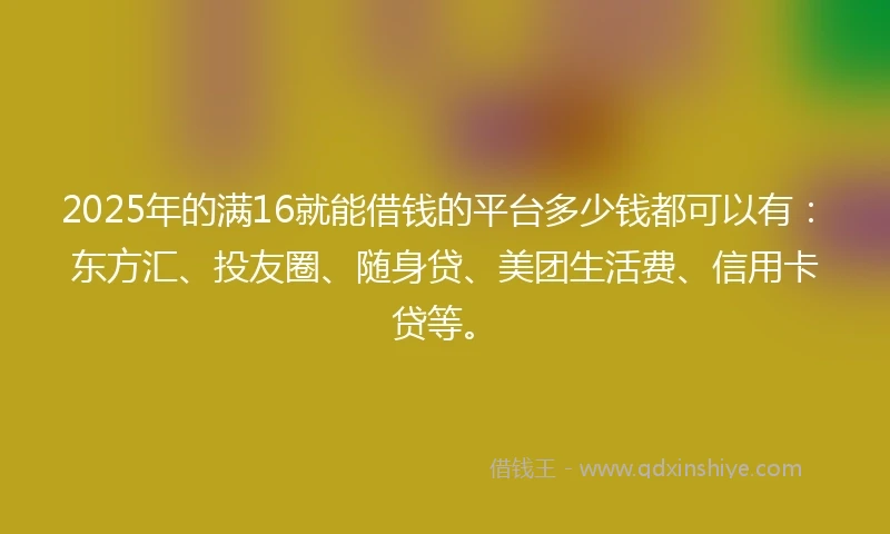 2025年的满16就能借钱的平台多少钱都可以有：东方汇、投友圈、随身贷、美团生活费、信用卡贷等。