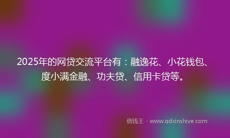 2025年的网贷交流平台有：融逸花、小花钱包、度小满金融、功夫贷、信用卡贷等。