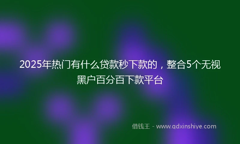 2025年热门有什么贷款秒下款的，整合5个无视黑户百分百下款平台