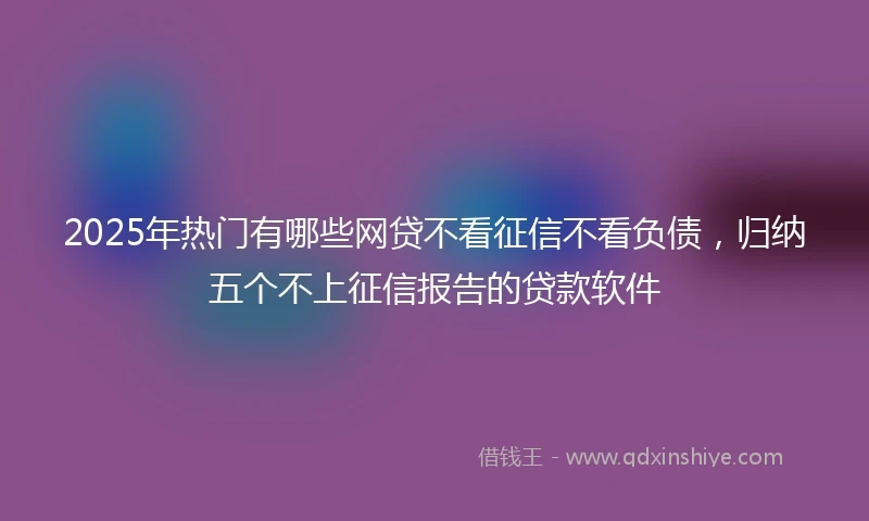 2025年热门有哪些网贷不看征信不看负债，归纳五个不上征信报告的贷款软件
