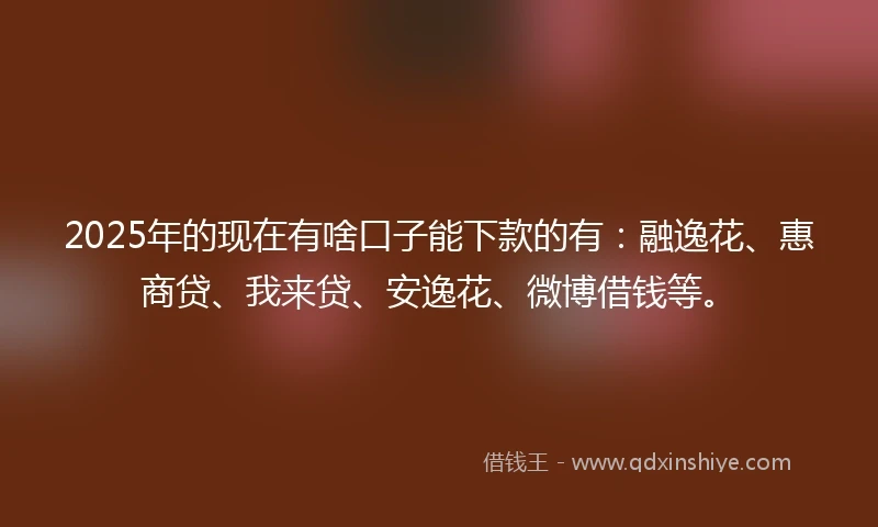 2025年的现在有啥口子能下款的有：融逸花、惠商贷、我来贷、安逸花、微博借钱等。