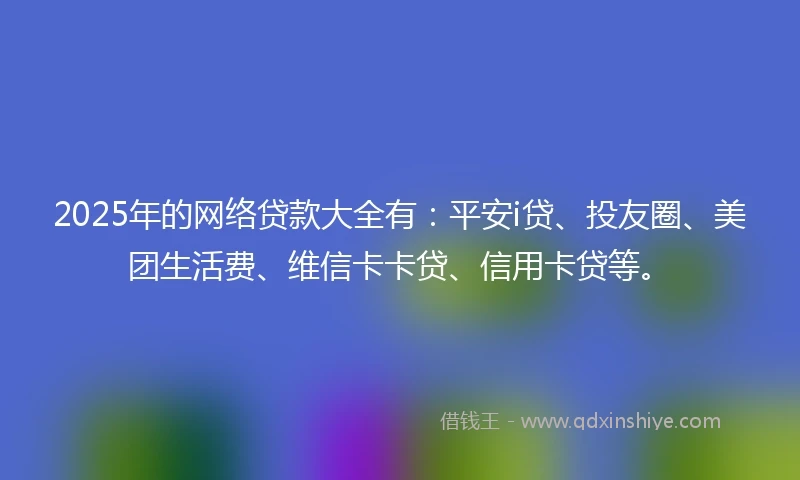 2025年的网络贷款大全有：平安i贷、投友圈、美团生活费、维信卡卡贷、信用卡贷等。