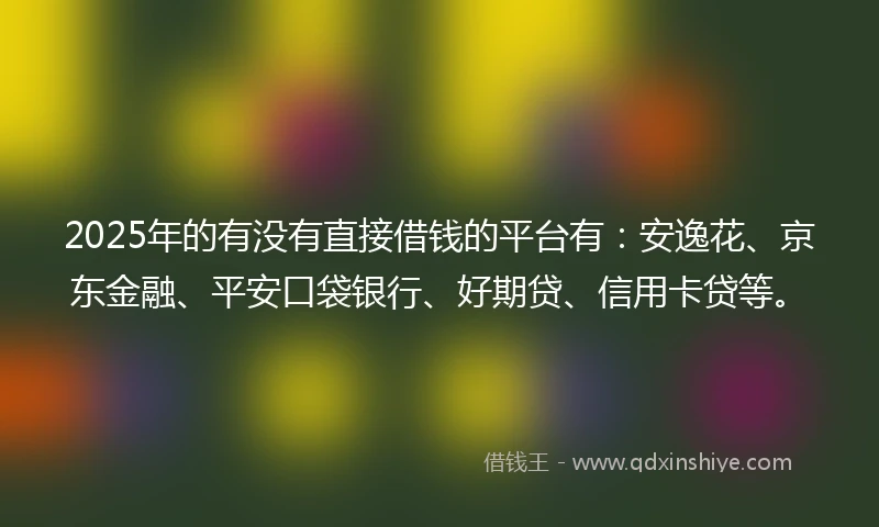 2025年的有没有直接借钱的平台有：安逸花、京东金融、平安口袋银行、好期贷、信用卡贷等。