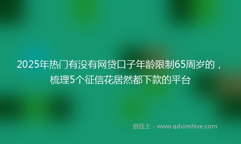 2025年热门有没有网贷口子年龄限制65周岁的，梳理5个征信花居然都下款的平台