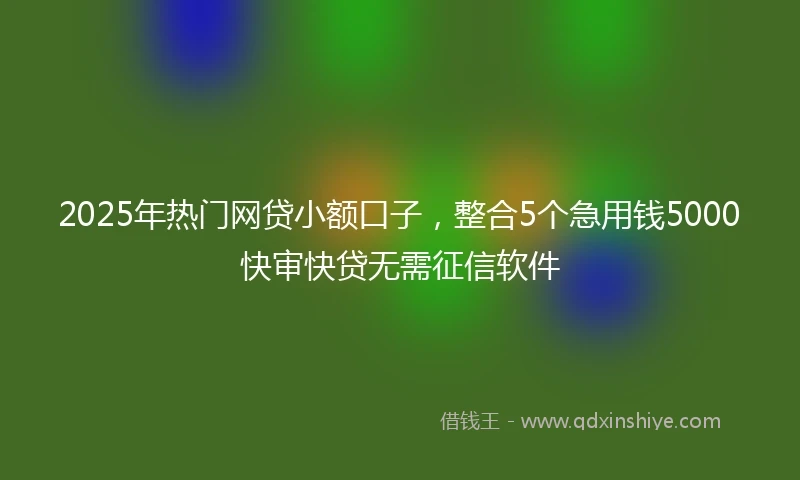 2025年热门网贷小额口子，整合5个急用钱5000快审快贷无需征信软件