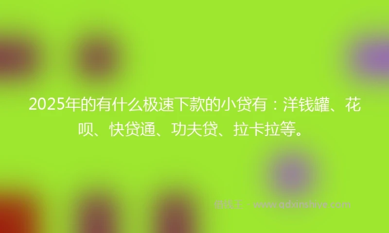 2025年的有什么极速下款的小贷有：洋钱罐、花呗、快贷通、功夫贷、拉卡拉等。