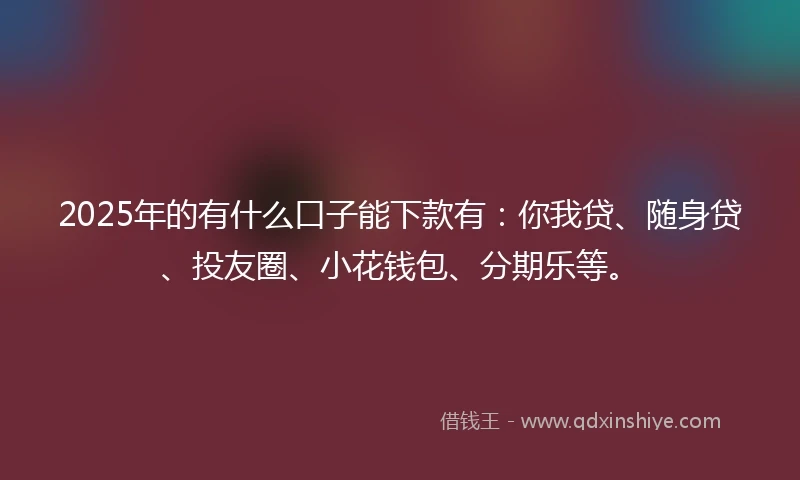 2025年的有什么口子能下款有：你我贷、随身贷、投友圈、小花钱包、分期乐等。