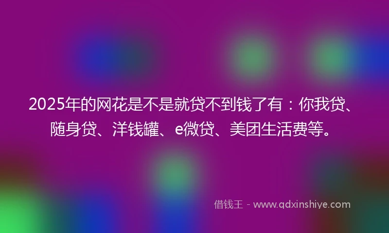 2025年的网花是不是就贷不到钱了有：你我贷、随身贷、洋钱罐、e微贷、美团生活费等。