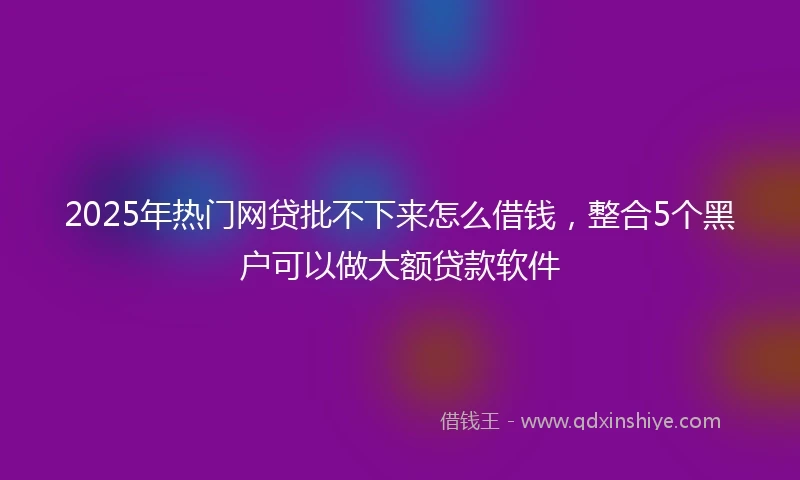 2025年热门网贷批不下来怎么借钱，整合5个黑户可以做大额贷款软件