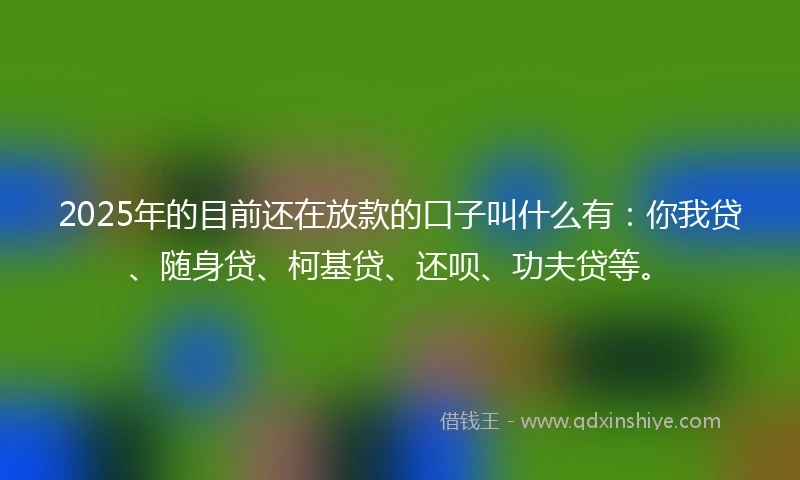2025年的目前还在放款的口子叫什么有：你我贷、随身贷、柯基贷、还呗、功夫贷等。