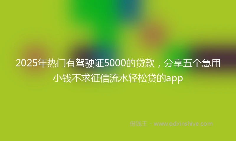 2025年热门有驾驶证5000的贷款，分享五个急用小钱不求征信流水轻松贷的app