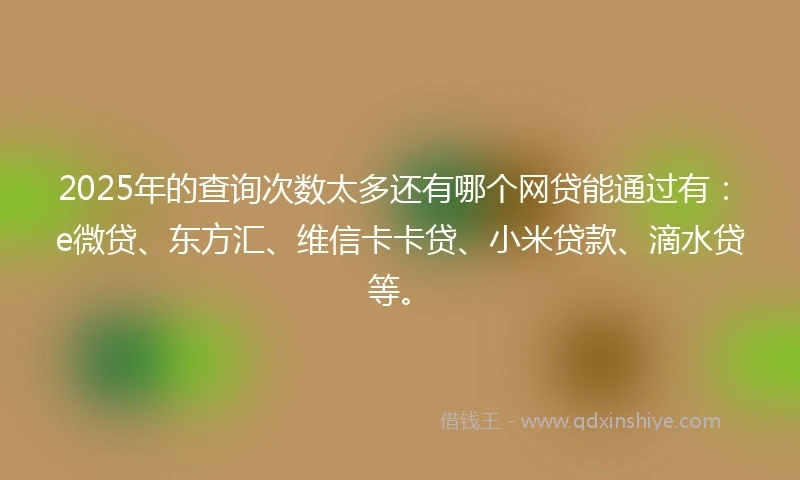 2025年的查询次数太多还有哪个网贷能通过有：e微贷、东方汇、维信卡卡贷、小米贷款、滴水贷等。