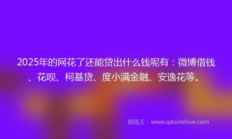 2025年的网花了还能贷出什么钱呢有：微博借钱、花呗、柯基贷、度小满金融、安逸花等。