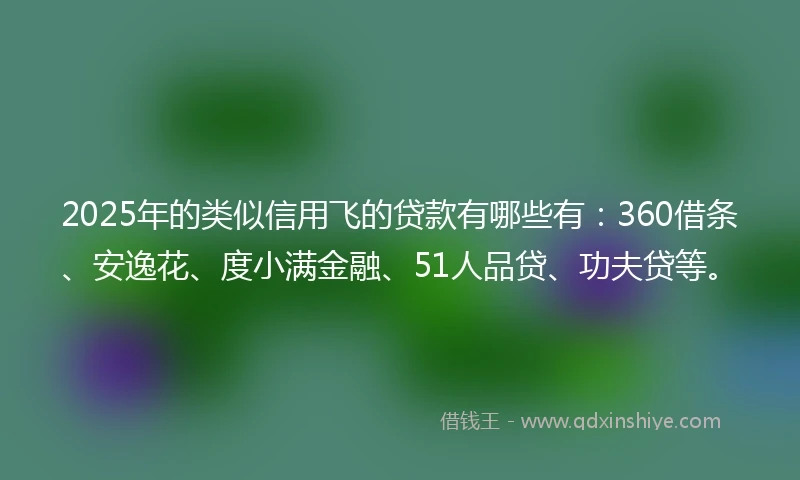 2025年的类似信用飞的贷款有哪些有：360借条、安逸花、度小满金融、51人品贷、功夫贷等。