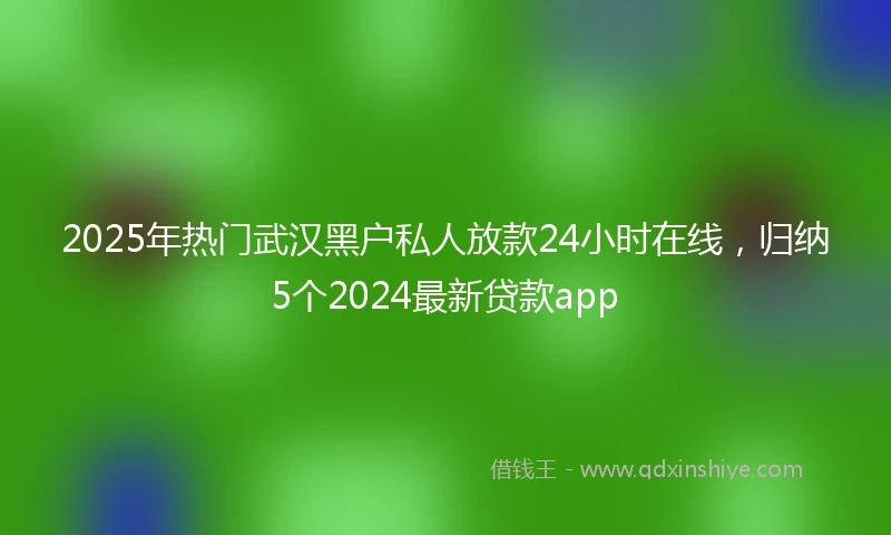 2025年热门武汉黑户私人放款24小时在线，归纳5个2024最新贷款app