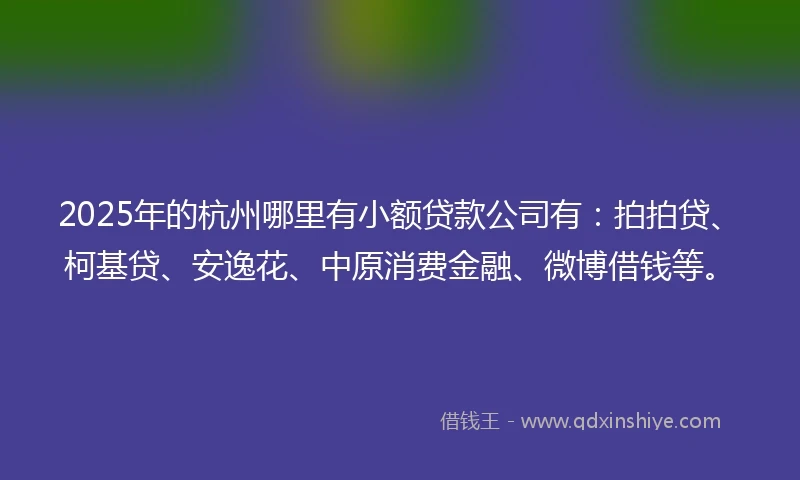 2025年的杭州哪里有小额贷款公司有：拍拍贷、柯基贷、安逸花、中原消费金融、微博借钱等。