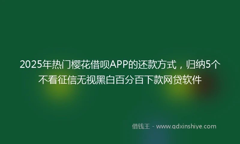 2025年热门樱花借呗APP的还款方式，归纳5个不看征信无视黑白百分百下款网贷软件
