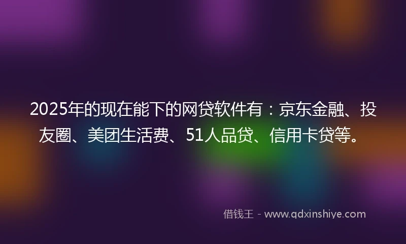 2025年的现在能下的网贷软件有：京东金融、投友圈、美团生活费、51人品贷、信用卡贷等。