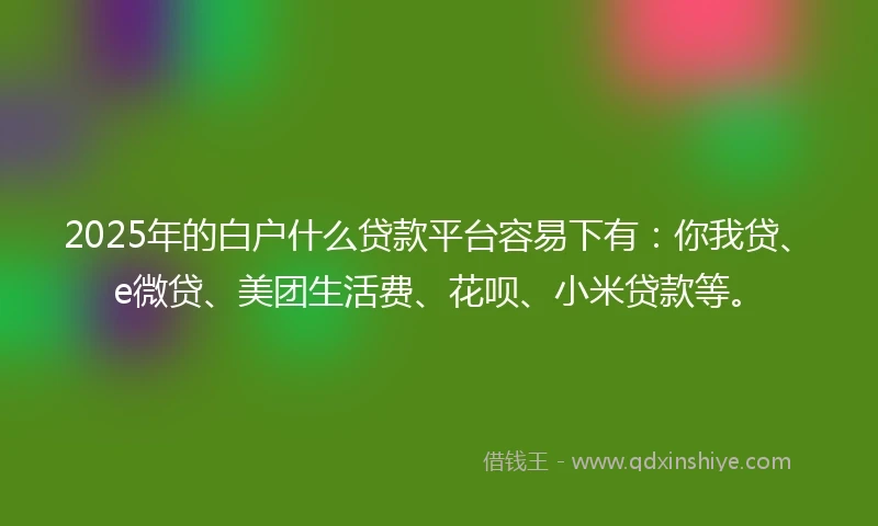 2025年的白户什么贷款平台容易下有：你我贷、e微贷、美团生活费、花呗、小米贷款等。