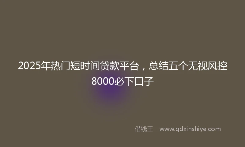 2025年热门短时间贷款平台，总结五个无视风控8000必下口子