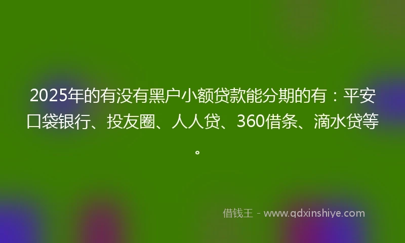 2025年的有没有黑户小额贷款能分期的有：平安口袋银行、投友圈、人人贷、360借条、滴水贷等。