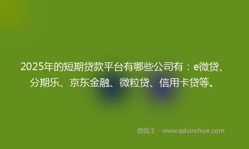 2025年的短期贷款平台有哪些公司有：e微贷、分期乐、京东金融、微粒贷、信用卡贷等。