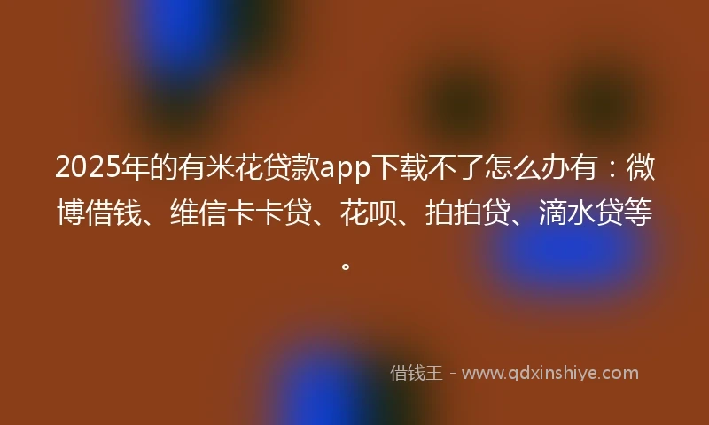 2025年的有米花贷款app下载不了怎么办有：微博借钱、维信卡卡贷、花呗、拍拍贷、滴水贷等。