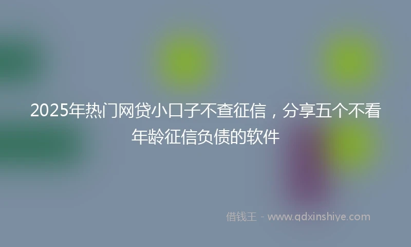 2025年热门网贷小口子不查征信，分享五个不看年龄征信负债的软件
