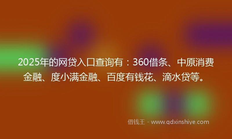 2025年的网贷入口查询有：360借条、中原消费金融、度小满金融、百度有钱花、滴水贷等。