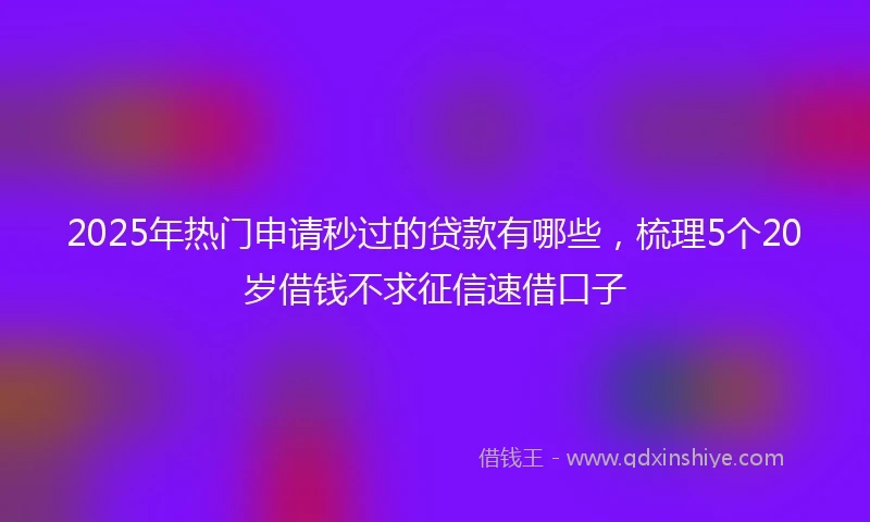 2025年热门申请秒过的贷款有哪些，梳理5个20岁借钱不求征信速借口子
