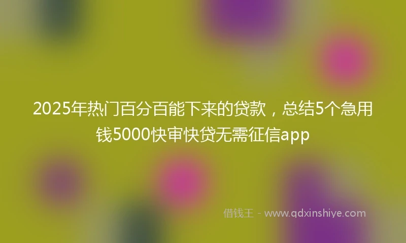 2025年热门百分百能下来的贷款，总结5个急用钱5000快审快贷无需征信app