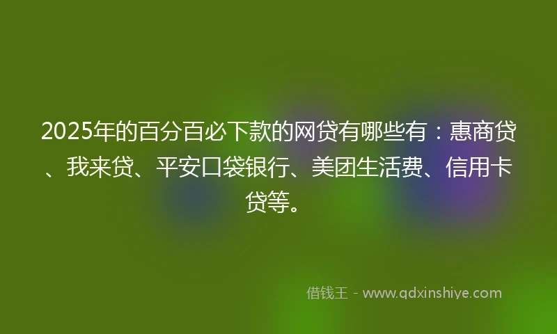 2025年的百分百必下款的网贷有哪些有：惠商贷、我来贷、平安口袋银行、美团生活费、信用卡贷等。