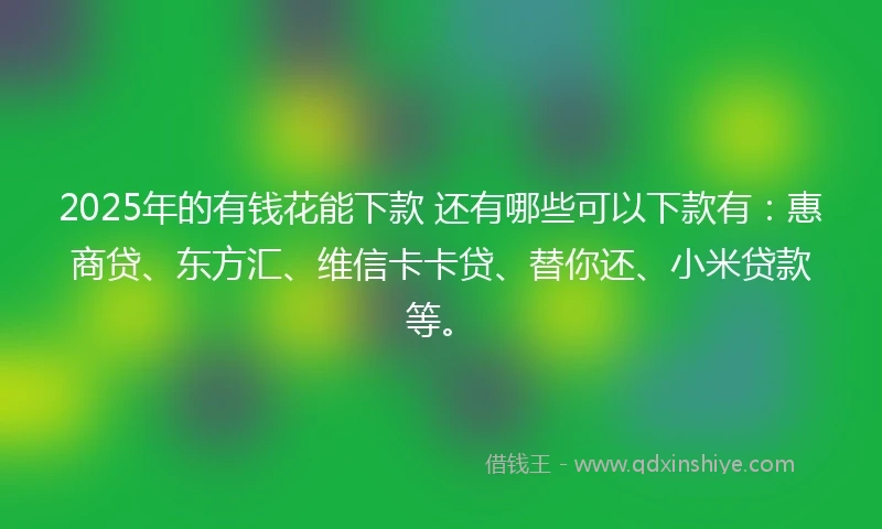 2025年的有钱花能下款 还有哪些可以下款有：惠商贷、东方汇、维信卡卡贷、替你还、小米贷款等。