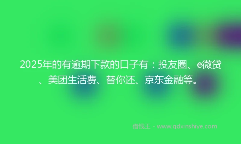 2025年的有逾期下款的口子有：投友圈、e微贷、美团生活费、替你还、京东金融等。