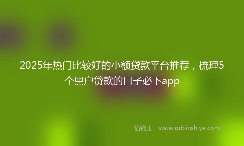 2025年热门比较好的小额贷款平台推荐，梳理5个黑户贷款的口子必下app
