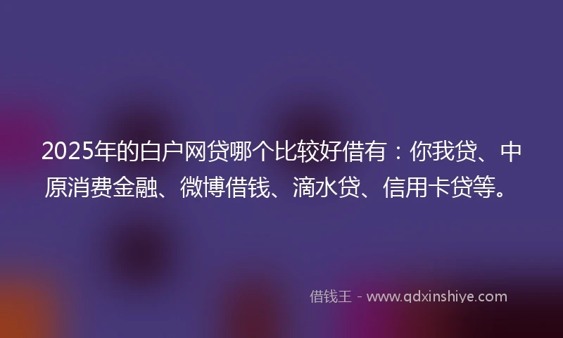 2025年的白户网贷哪个比较好借有：你我贷、中原消费金融、微博借钱、滴水贷、信用卡贷等。
