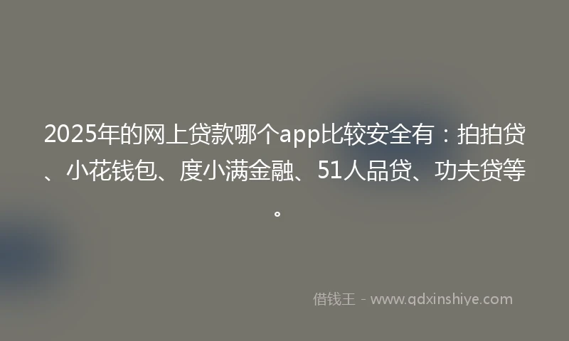 2025年的网上贷款哪个app比较安全有：拍拍贷、小花钱包、度小满金融、51人品贷、功夫贷等。