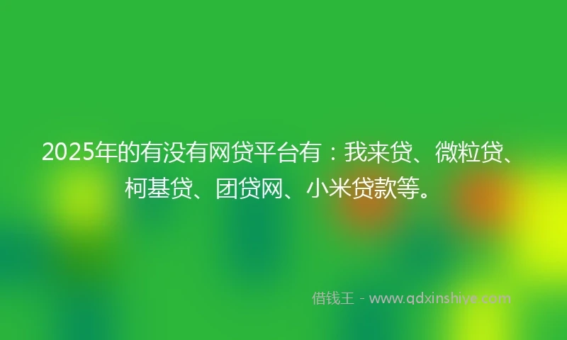 2025年的有没有网贷平台有：我来贷、微粒贷、柯基贷、团贷网、小米贷款等。
