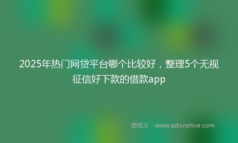 2025年热门网贷平台哪个比较好，整理5个无视征信好下款的借款app