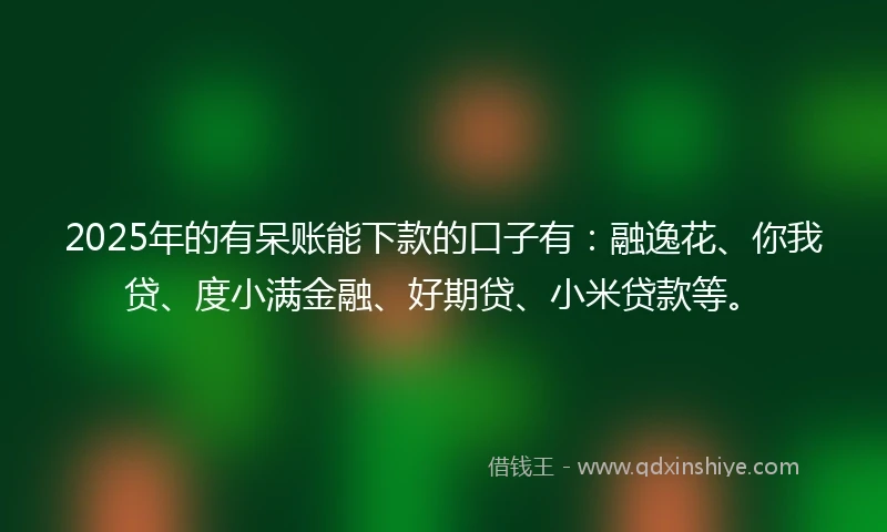 2025年的有呆账能下款的口子有：融逸花、你我贷、度小满金融、好期贷、小米贷款等。